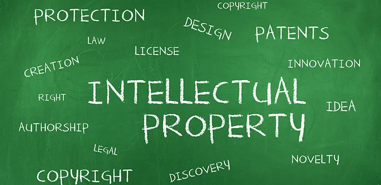intellectual property rights investigator