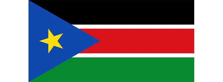investigation in south sudan