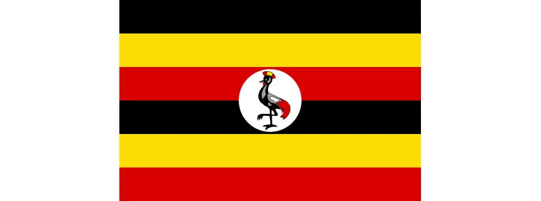 investigation in uganda